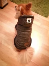 Pet-Dog-Clothes Jackets Coat Pets-Products Puppy-Cat-Clothing Pug-Outfits Small Dogs