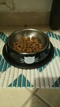 Cat-Bowls Travel Puppy Food-Dish Car-Face-Feeding-Feeder Cats Stainless-Steel Outdoor