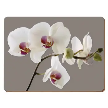 

Stands on the Cork medium harmony of orchids 30x23 cm (6 pcs)