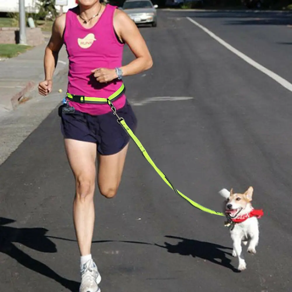 Hands Free Dog Leash Running Jogging Waist Belt Dual Handle Training Bungee Lead 30g4120