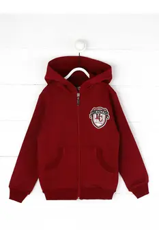 

Burgundy Seasonal Male Child Jacket