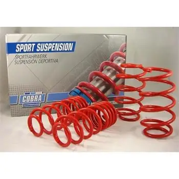 

Complete Kit springs Cobra Audi A6 Lim, Quattro 4B 4-Door (4Wd) 2,4/2,7 T/2,8/3,0 + 2, 5Tdi 01/1997