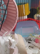 Hamster Bathroom Sauna Room Pet Small Animals Rabbit Chinchilla Toilets Cleaning L4MB