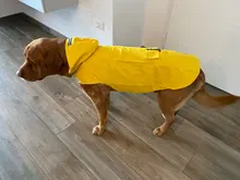 Dogs Coat Rain-Jacket Labrador Big-Poncho Golden-Retriever Waterproof Outdoor Pet-Dog