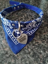 Placas de identificación personalizadas para perros y gatos, etiquetas de nombres de mascotas, antipérdida, accesorios para mascotas