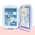 Flamingueo Mini Fridge 4L Makeup Fridge 12V/220V Cooler and Warmer Mini Fridge Cosmetic Beauty Fridge Skincare Fridge Mini Fridge for Room