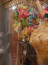 Juego de juguetes para pájaros, Set de 3 unidades por lote para trituradora de loros, jaula colgante variada de forrajeo, estante para masticar pájaros, juguetes para mascotas, juguete para loros molares