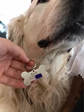 Keychain Pendant Pet-Accessories Id-Tag Engraved Puppy Dog-Collar Keyring-Bone Pet-Id-Name