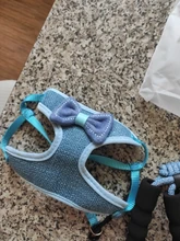 Breakaway Cat Collar Cute Bow Vests Cat Harness and Leash Cat Product Cat Accessories