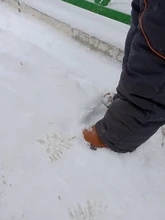 Botas cortas para la lluvia para niño y niña, zapatos grandes, botas cortas de cuero inglés