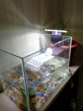 Lighting Aquarium-Lamp Fish-Tank-Light LED High-Brightness Super-Slim Ultra-Thin