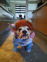 Dog Cosplay Costume-Sets Clothing Bulldog Funny Halloween Pug Large Medium for Adjustable