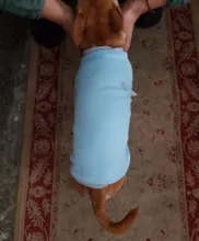 Ropa de perro de moda ropa de invierno para perros pequeños perros mediano chaqueta de abrigo Chihuahua ropa para mascotas para pequeño mediano perros Carlino