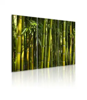 

Picture-bamboo and Green