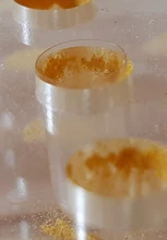 Board Shell-Filler Capsule Filling-Filling-Plate 00 -209-Hole ABS Home