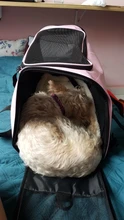 Dog-Carrier-Bags Airline Pet-Cat-Dog-Backpack Portable Cats Small Dog for Approved