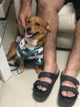 Warm Dog Sweatshirt Puppy-Clothes Dog-Costume Soft-Fleece Chihuahua Winter Yorkshire