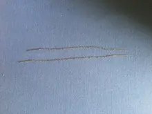 Simple dorado plateado pendientes de cadena para las mujeres 925 plata esterlina largo de cadena de encanto de pendientes de enhebrar joyería de moda 2020