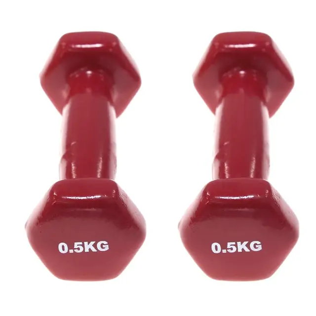 Dumbbells plastic for women, dumbbell Fitness lasting, with style, smooth surface, from 3 kilos, portable optional, 2 pieces 0.5KG