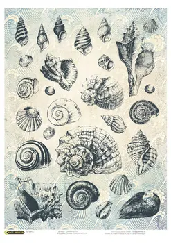 

Rice paper for Decoupage "" shells "" craft Premier, A3, 25 g/m cpd0633