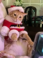 Apparel Costume Christmas-Clothes Dog-Suit Pet-Coat Santa-Claus with Winter Gomaomi Cap
