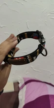 Dog-Collar Leash Dogs Custom Printed Small Colorful Personalized Medium Nylon with 