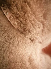 Puppy-Neck-Strap Cat-Collar Kitten-Accessories Rhinestone Luxury Small Rivet 