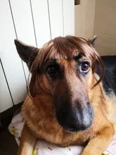 Alileader-flequillo suave y ligero, extensiones de cabello sintético, estilo de cabello, flequillo falso, más duradero