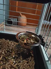 Pet puede colgar estacionario jaula de perro cuencos de acero inoxidable perro gato Boles colgantes Durable cachorro gatito de tazón para agua y alimentos