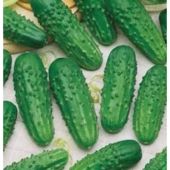 

Seeds cucumber competitor 5gr