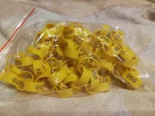 Foot-Ring Poultry-Farming-Equipment Chicken-Duck Buckle Goose Plastic 100pcs 5-Colors