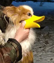 Bozal de silicona para perros, máscara bozal antimordida para perros pequeños y grandes, boquillas para la boca, accesorios de mascota perro