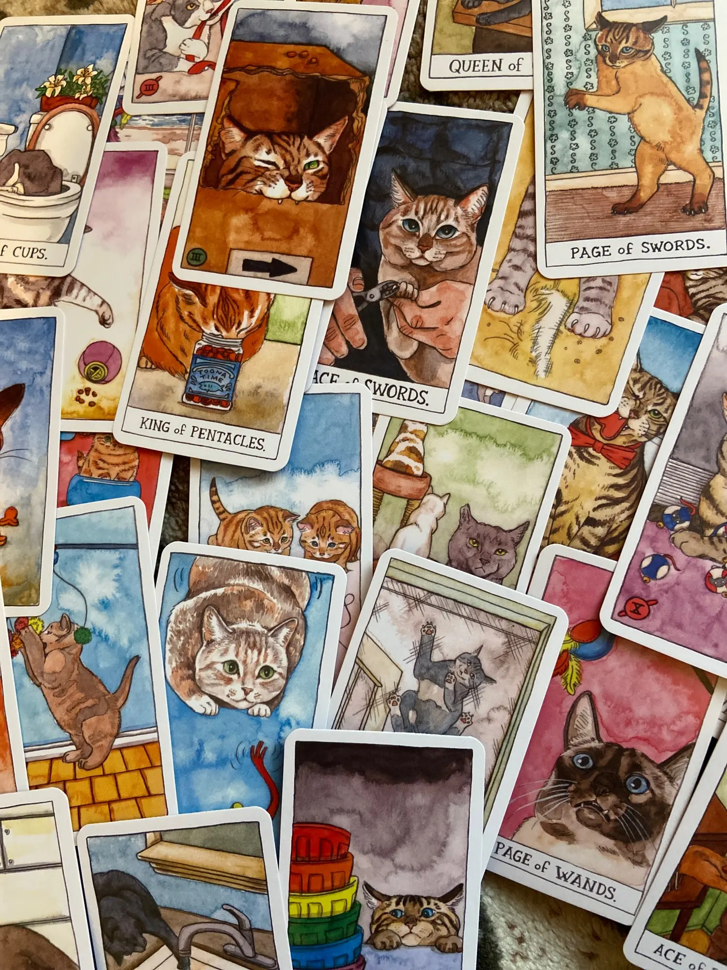 Таро коты значение. Таро с котами. карты таро коты. карты таро с котиками. кот с картами таро.