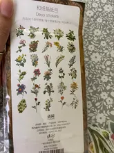 60 unidades/Paquete de pegatinas de flores para decoración, bricolaje, álbum diario, planificador, pegatinas, papelería, etiqueta adhesiva para útiles escolares