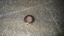 Gasket Washer Ring-Tool Accessories-Pack Sealing Boat Crush Copper New Hardware Sump