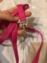 Correa de nailon para perros y gatos pequeños, Collar de gatito colorido de 1,5x120cm, correa de plomo para correr, entrenamiento y caminar