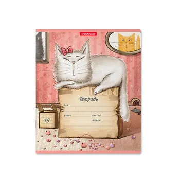 

Notebook student 18L (Cage) cat & box erichkrause 46598ek