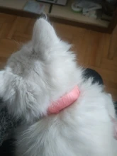 Pet-Collar Necklace Repel Flea Pest-Control-Protect Killer Adjustable for And Rubber