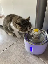 Drink-Bowl Electric-Dispenser Water-Fountain Active Cat Automatic CARBON-FILTER Dog Usb-Powered
