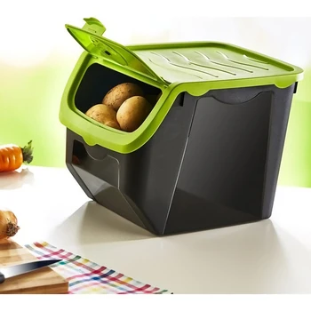 

Hobby Life Coral Potato Onion Storage Box |2 Piece | Light Green