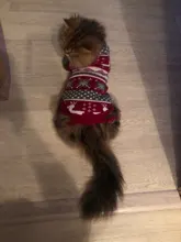 Pet Cat Reindeer Sweater Winter Warm Cat Clothes for Cats Kedi Outfit katten Clothing