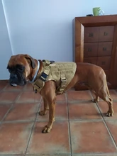 Molle Vest Panels Dog-Harness Dogs Military-Working Training Rubrab Tactical Metal 