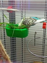 De acero inoxidable de conejos de hierba rata Hamster colgando Rack dispensador de comida alimentador de conejo comedero Hay suministro de juguetes para mascotas
