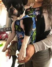 HOOPET Pet Dog Cat Carrier Bag Backpack Carring Bag Products for Dogs Anilmal Transport