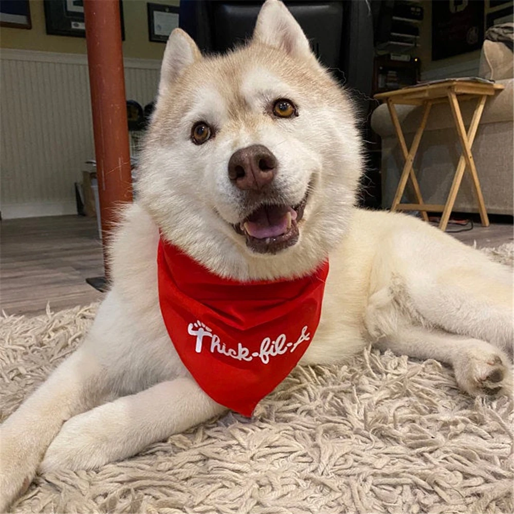 

Personalised Dog Bandana Thick Fil, A Color Options, Red Dog Accessories, Pet Accessories for Wedding, Birthday Party Gift