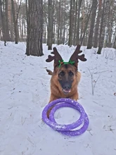 Hat Puppy-Festival-Accessories Party-Product Pet-Headband Hair-Hoop Dog Cat Cosplay Christmas