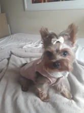 Fleece Vest Suit Coat Jackets Clothing Pet-Dog-Clothes New-Supplies Small Dog Winter