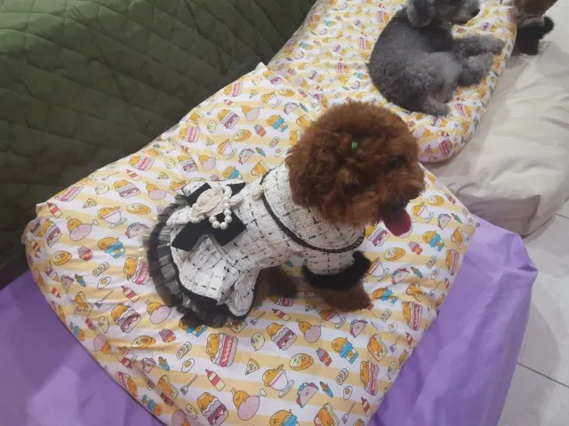 Canine Coco Chanel Dress