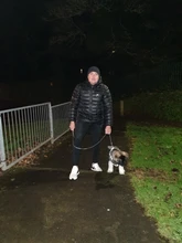 Cadena de Metal resistente antimordida para perros pequeños, medianos y grandes, correa de perro, correa de mano, correa de cuero PU, cadena de hierro, accesorios para mascotas