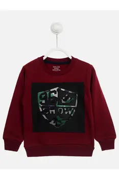 

Modakids Seasonal Male Child Sweatshirt